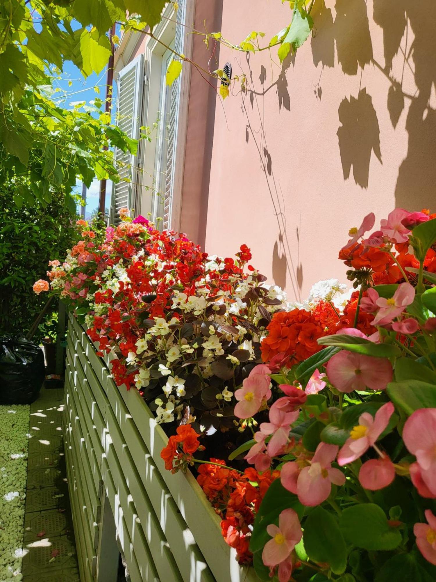Hotel il buen retiro Lucca Exterior foto