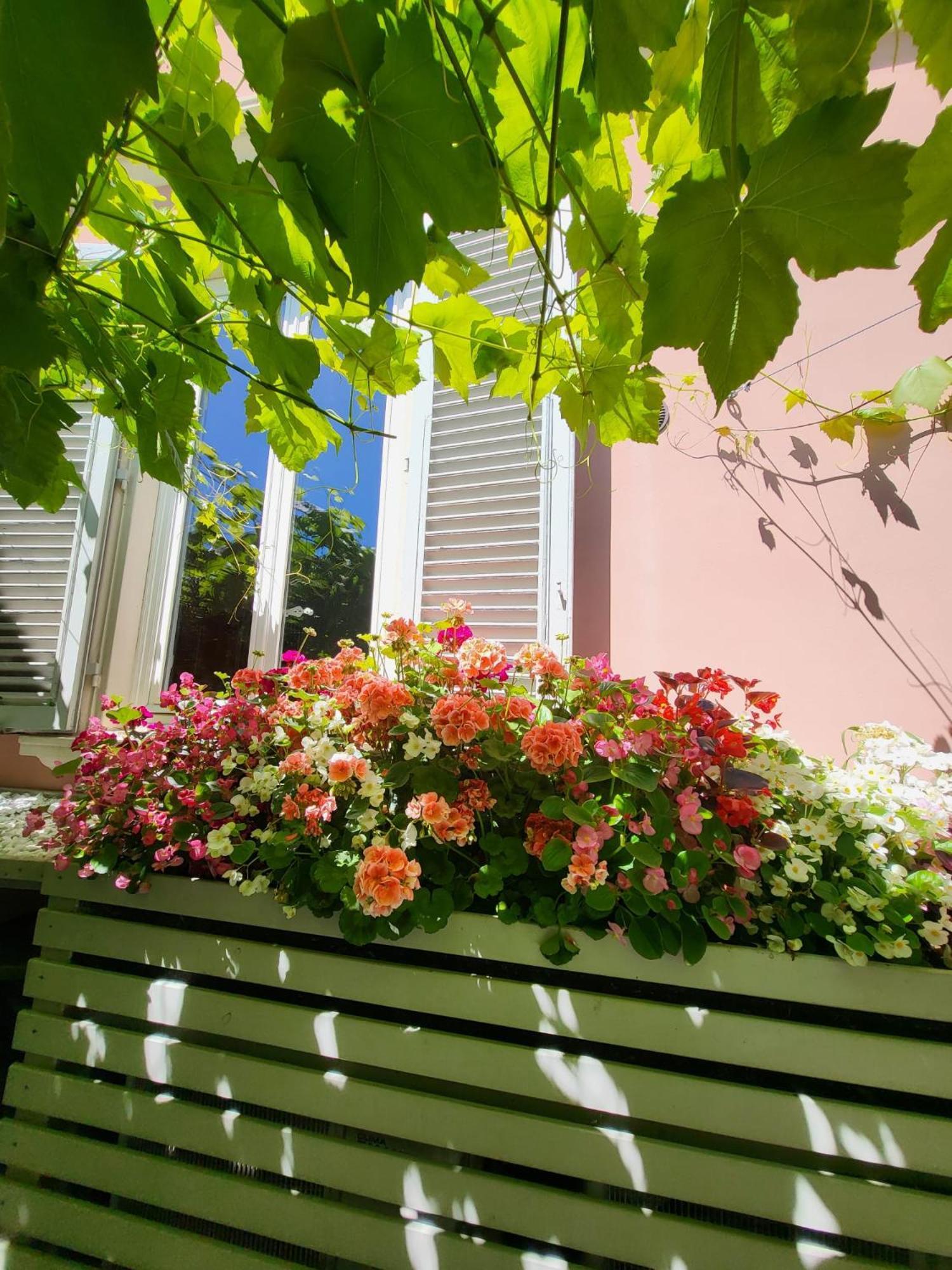 Hotel il buen retiro Lucca Exterior foto