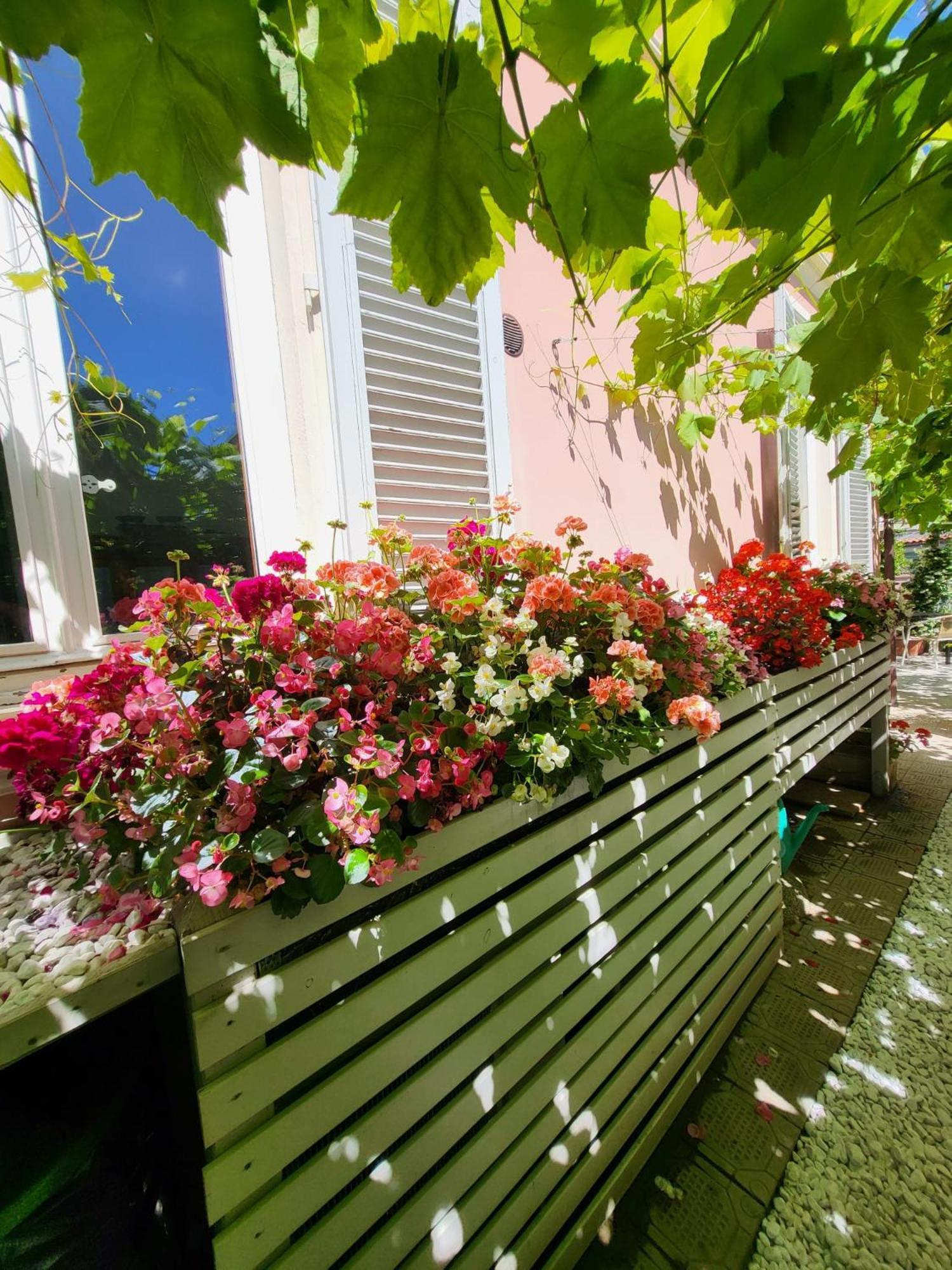 Hotel il buen retiro Lucca Exterior foto